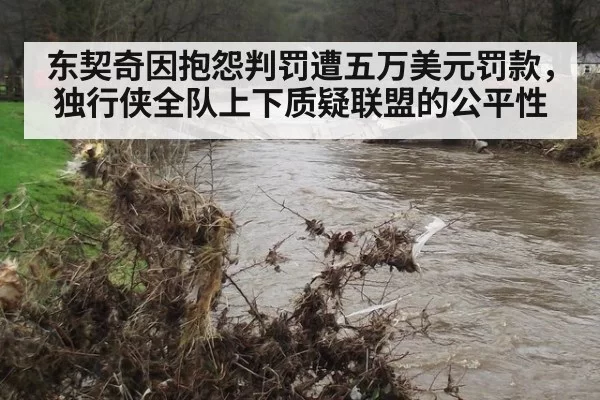 东契奇因抱怨判罚遭五万美元罚款，独行侠全队上下质疑联盟的公平性
